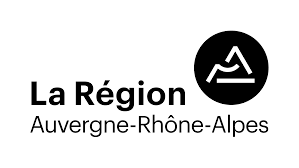 Handicap et Politique Publiques : Cas d’étude Région Auvergne Rhone Alpes